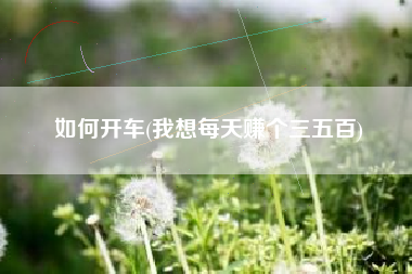 如何开车(我想每天赚个三五百)