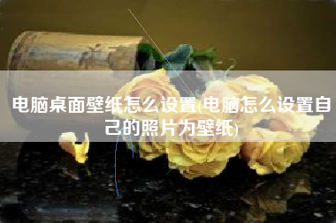 电脑桌面壁纸怎么设置(电脑怎么设置自己的照片为壁纸)