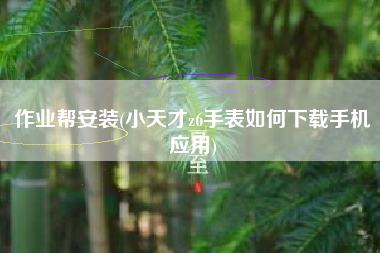 作业帮安装(小天才z6手表如何下载手机应用)