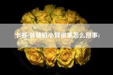 卡赛(装载机小臂很重怎么回事)