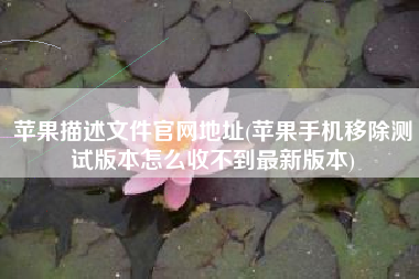 详细阅读:苹果描述文件官网地址(苹果手机移除测试版本怎么收不到最新版本) 苹果描述文件官网地址(苹果手机移除测试版本怎么收不到最新版本)