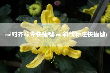 cad对齐命令快捷键(cad斜线标注快捷键)