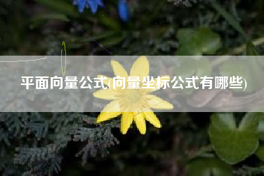 平面向量公式(向量坐标公式有哪些)