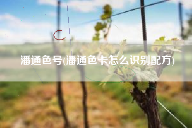 潘通色号(潘通色卡怎么识别配方)