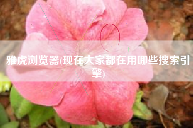 雅虎浏览器(现在大家都在用哪些搜索引擎)