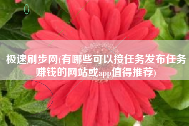 极速刷步网(有哪些可以接任务发布任务赚钱的网站或app值得推荐)
