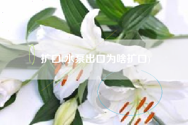 扩口(水泵出口为啥扩口)