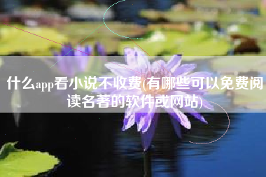 什么app看小说不收费(有哪些可以免费阅读名著的软件或网站)