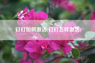 钉钉如何激活(钉钉怎样激活)