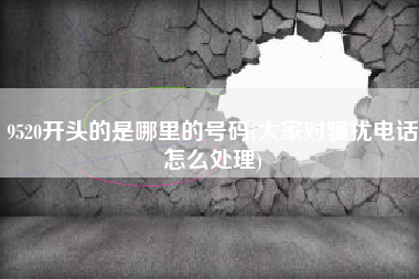 9520开头的是哪里的号码(大家对骚扰电话怎么处理)