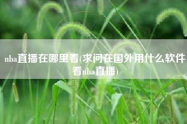 nba直播在哪里看(求问在国外用什么软件看nba直播)