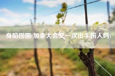 身陷囹圄(加拿大会又一次出手捞人吗)