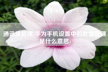 通讯录管理(华为手机设置中的批量管理是什么意思)