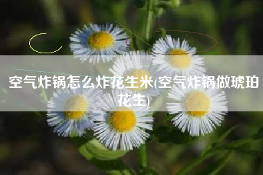 空气炸锅怎么炸花生米(空气炸锅做琥珀花生)