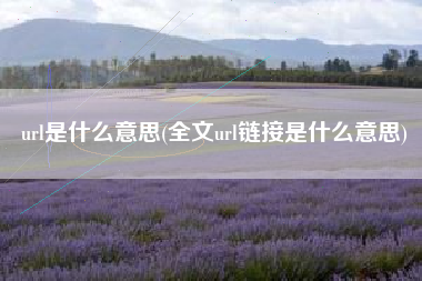 url是什么意思(全文url链接是什么意思)
