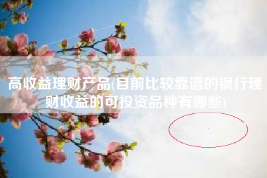 高收益理财产品(目前比较靠谱的银行理财收益的可投资品种有哪些)