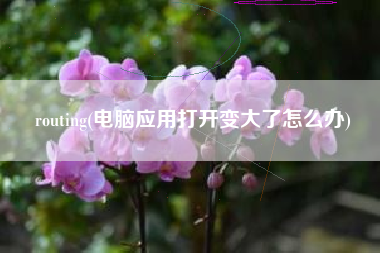 详细阅读:routing(电脑应用打开变大了怎么办) routing(电脑应用打开变大了怎么办)