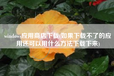 windows应用商店下载(如果下载不了的应用还可以用什么方法下载下来)
