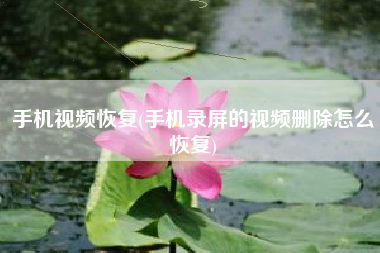 手机视频恢复(手机录屏的视频删除怎么恢复)