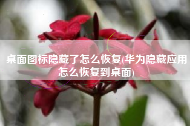 桌面图标隐藏了怎么恢复(华为隐藏应用怎么恢复到桌面)