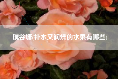 璞谷塘(补水又润燥的水果有哪些)