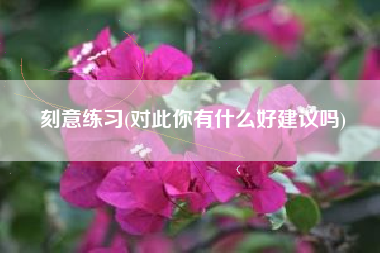 刻意练习(对此你有什么好建议吗)