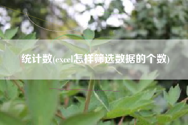 统计数(excel怎样筛选数据的个数)