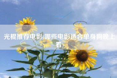 光棍推荐电影(哪些电影适合单身狗晚上看)