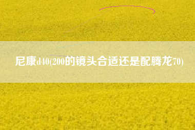 尼康d40(200的镜头合适还是配腾龙70)