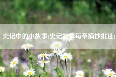史记中的小故事(史记故事每章摘抄批注)