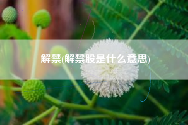 解禁(解禁股是什么意思)