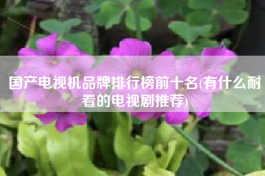国产电视机品牌排行榜前十名(有什么耐看的电视剧推荐)