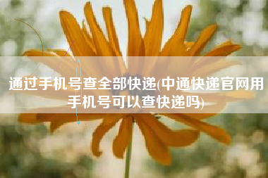通过手机号查全部快递(中通快递官网用手机号可以查快递吗)