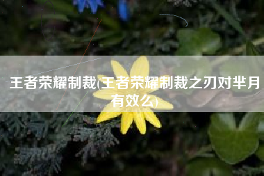 王者荣耀制裁(王者荣耀制裁之刃对芈月有效么)