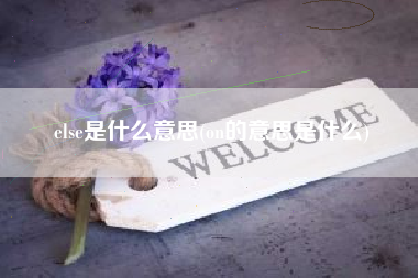 详细阅读:else是什么意思(on的意思是什么) else是什么意思(on的意思是什么)