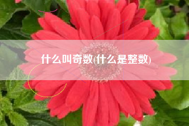 什么叫奇数(什么是整数)