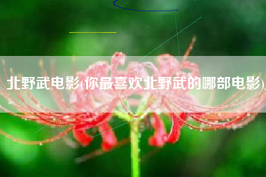 北野武电影(你最喜欢北野武的哪部电影)
