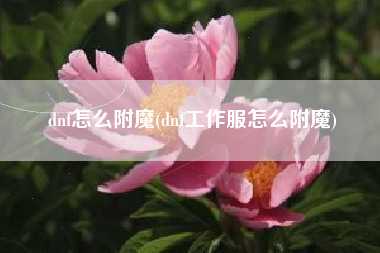 dnf怎么附魔(dnf工作服怎么附魔)