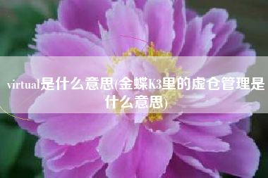 virtual是什么意思(金蝶K3里的虚仓管理是什么意思)
