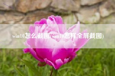 win10怎么截图(win10怎样全屏截图)