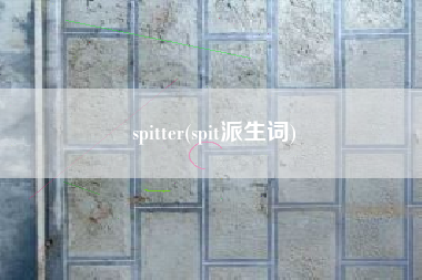 spitter(spit派生词)