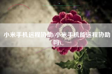小米手机远程协助(小米手机能远程协助吗)
