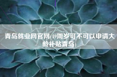 青岛就业网官网(49周岁可不可以申请大龄补贴青岛)