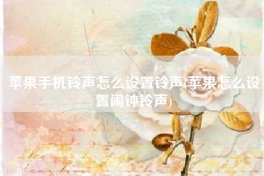苹果手机铃声怎么设置铃声(苹果怎么设置闹钟铃声)
