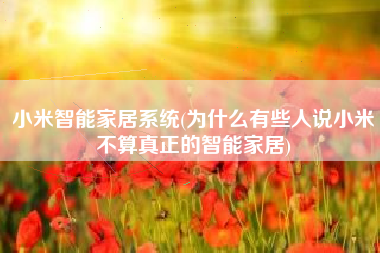 小米智能家居系统(为什么有些人说小米不算真正的智能家居)