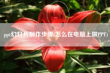 ppt幻灯片制作步骤(怎么在电脑上做PPT)