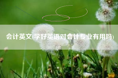 会计英文(学好英语对会计专业有用吗)