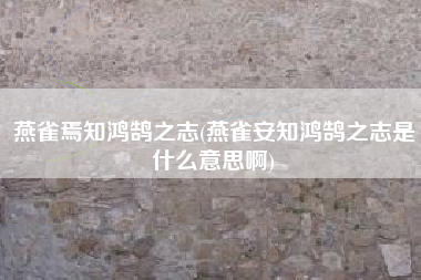 燕雀焉知鸿鹄之志(燕雀安知鸿鹄之志是什么意思啊)