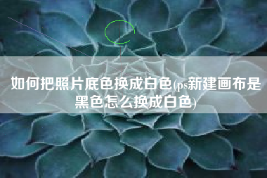 如何把照片底色换成白色(ps新建画布是黑色怎么换成白色)