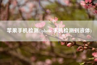 苹果手机检测(iphone手机检测到液体)